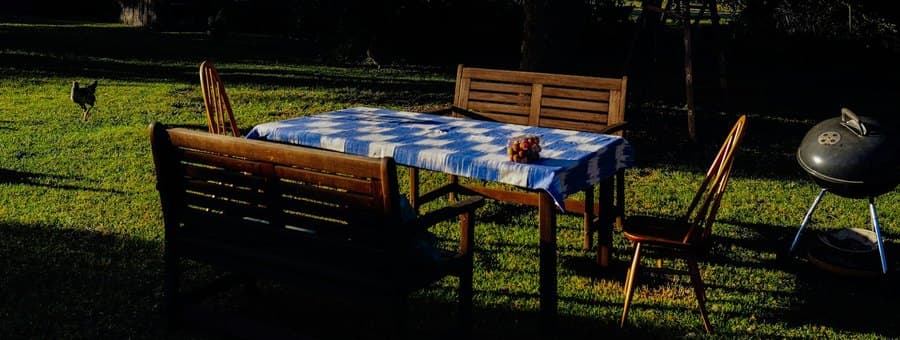 Una mesa larga puesta en el patio, bajo la sombra de un árbol